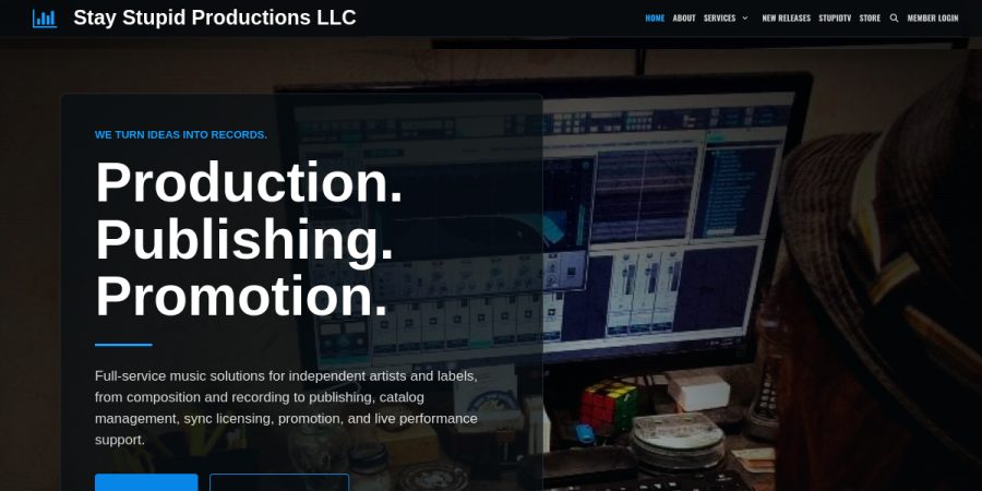 Stay Stupid Productions landing page preview